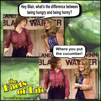 hungry horny cucumber joke cousin geri blair warner facts of life